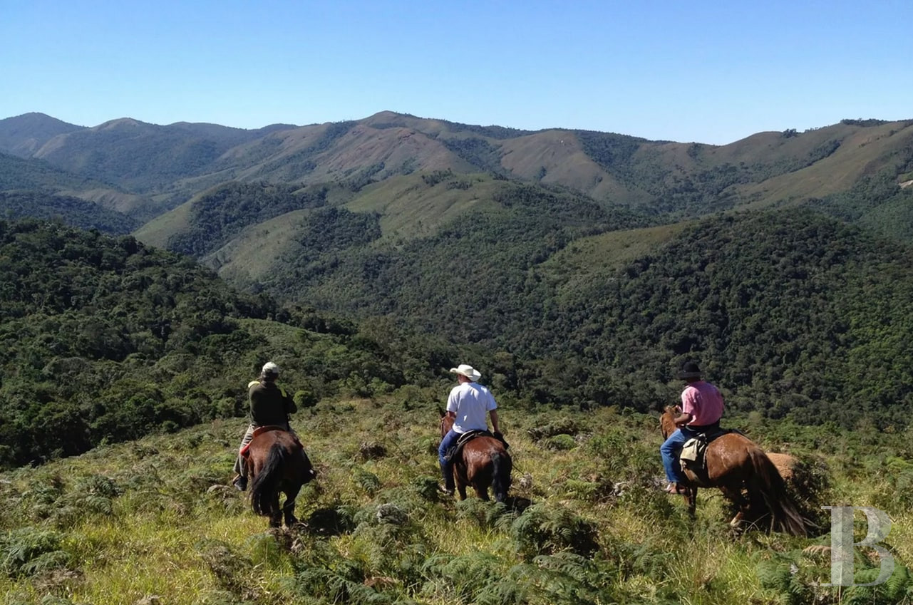 Au Brésil, dans l’État de São Paolo, une fazenda en autosubsistance dédiée à l’art et à la nature - photo  n°5
